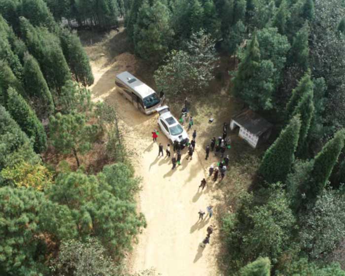 林業(yè)測繪
